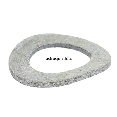 413177 Fjærskive Illustrasjonsfoto.Jpg