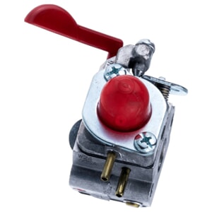 FORGASSER ZAMA C1U-W24