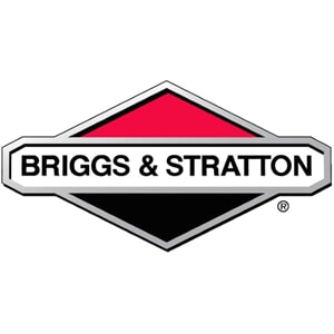 Briggs & Stratton