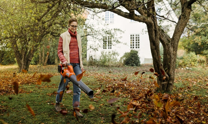 Løvblåser forside.jpg